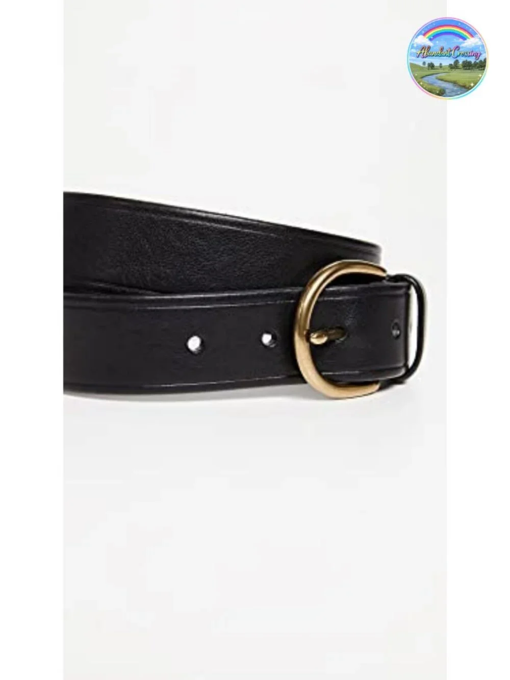 Madewell Womens Medium Perfect Leather Belt Gold Buckle